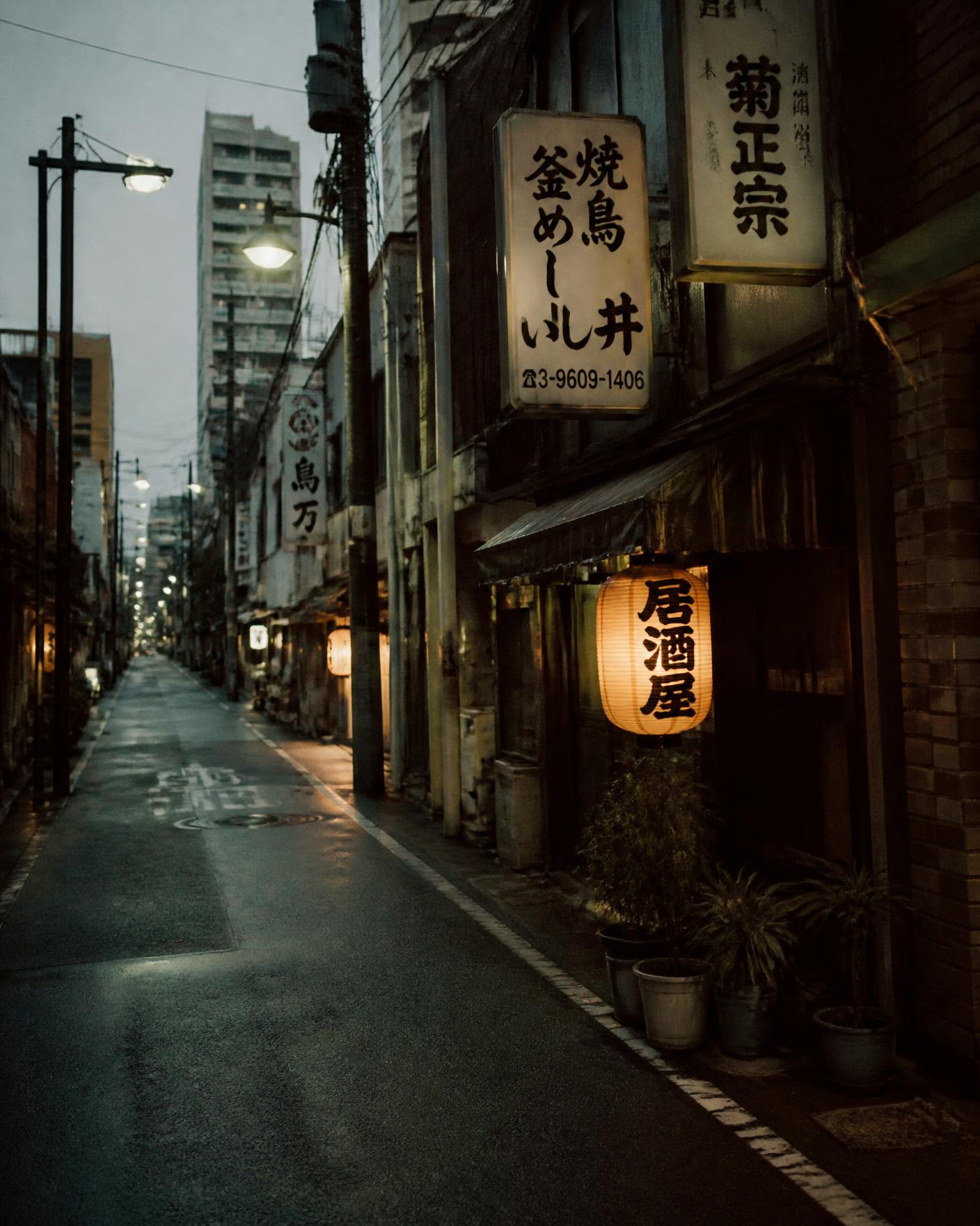 Skyltar och ljus i en gränd i Tokyo efter mörkrets inbrott
